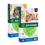 Advantage Pipeta Gato Hasta 4Kg - Imagen 2