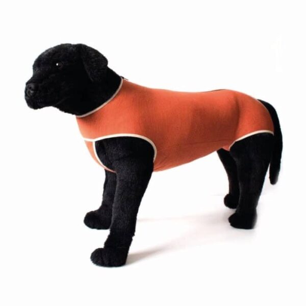Body Post Operatorio con Cobre Perro / Gato Talla 3 (4.5 a 6 Kgs) - Imagen 4