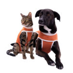 Body Post Operatorio con Cobre Perro / Gato Talla 3 (4.5 a 6 Kgs)