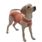 Body Post Operatorio con Cobre Perro / Gato Talla 3 (4.5 a 6 Kgs) - Imagen 2