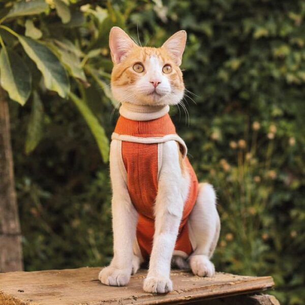 Body Post Operatorio con Cobre Perro / Gato Talla 3 (4.5 a 6 Kgs) - Imagen 3