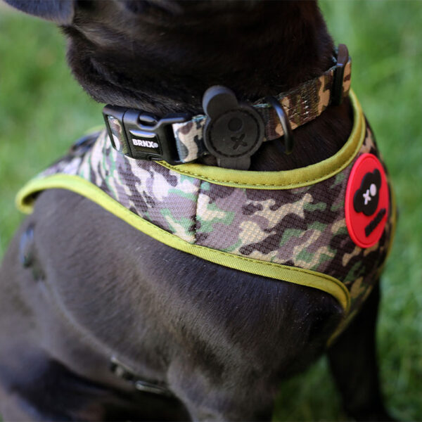 Brnx Collar Perro Camuflaje Small - Imagen 6