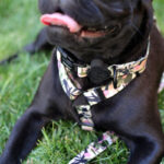 Brnx Collar Perro Forest Pink Small - Imagen 3