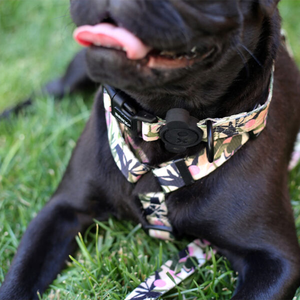 Brnx Collar Perro Forest Pink Small - Imagen 3