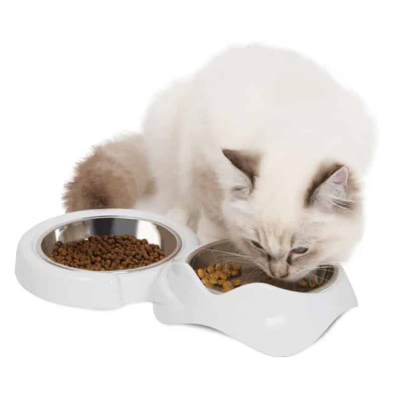 catit-pixi-plato-bajo-doble-para-gatos-2-x-200ml-2.jpg Catit Pixi Plato Bajo Doble para Gatos 2 x 200ml - Imagen 2