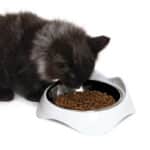 Catit Pixi Plato Bajo para Gatos 200ml - Imagen 2