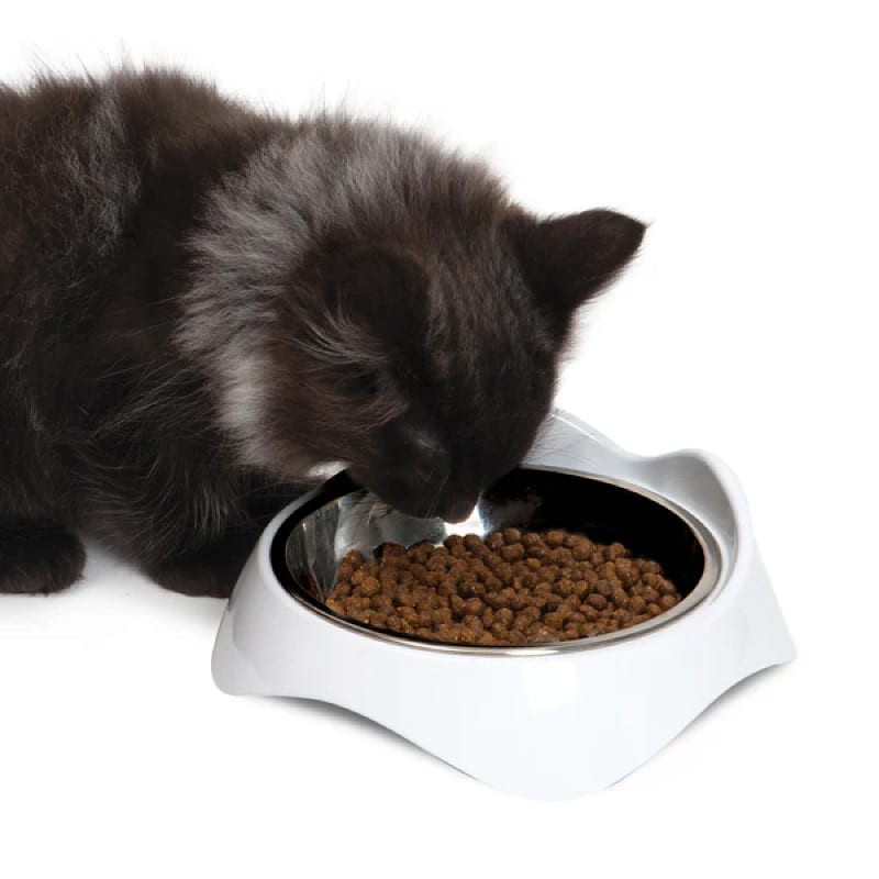 catit-pixi-plato-bajo-para-gatos-200ml-3.jpg Catit Pixi Plato Bajo para Gatos 200ml - Imagen 2