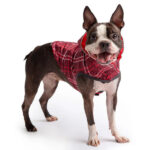 GFPet Impermeable Reversible Rojo Small - Imagen 5