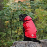GFPet Impermeable Reversible Rojo Small - Imagen 6