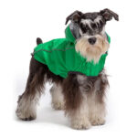 GFPet Impermeable Reversible Verde Small - Imagen 2