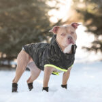 GFPet Parka Recycled Camuflaje Small - Imagen 3
