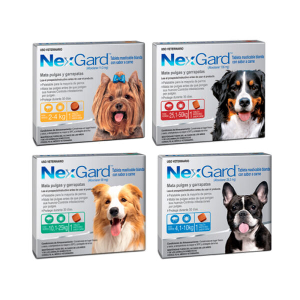 Nexgard Antipasitario Perro 25 a 50Kg 3 Comprimidos - Imagen 2