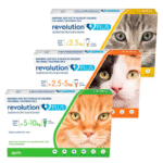 Revolution Plus Pipeta Gato 2.5 a 5Kg - Imagen 2